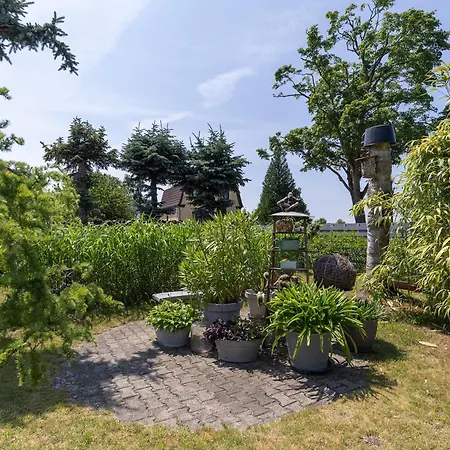 Klein Amerika * Storkow (Mark)