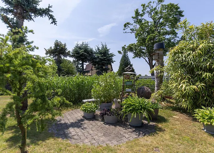 Klein Amerika * Storkow (Mark)